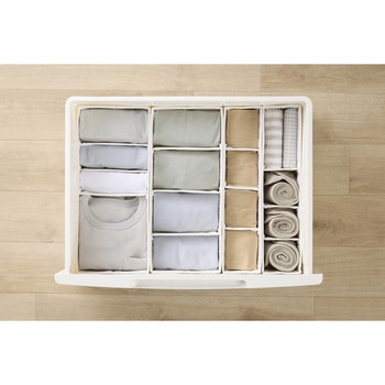 インナーボックス チェスト用 Sサイズ 【ケース販売用】 アイリスオーヤマ