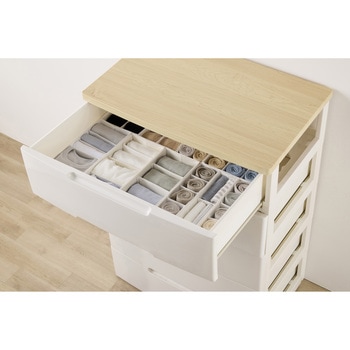 インナーボックス チェスト用 Mサイズ 【ケース販売用】 アイリスオーヤマ