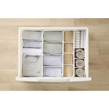 インナーボックス チェスト用 Mサイズ 【ケース販売用】 アイリスオーヤマ