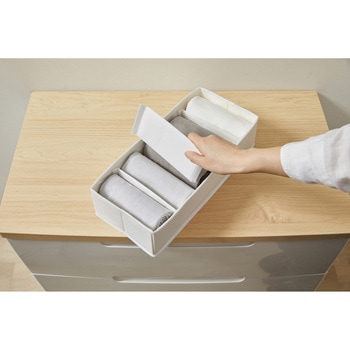 インナーボックス チェスト用 Mサイズ 【ケース販売用】 アイリスオーヤマ