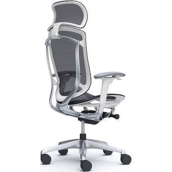 コンテッサセコンダ、可動肘、固定ヘッド、座メッシュ、ハンガー無、ランバー無、ホワイトB、ポリッシュ、脚ポリッシュ、ウレタン オカムラ(岡村製作所)