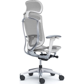 コンテッサセコンダ、可動肘、固定ヘッド、座メッシュ、ハンガー無、ランバー無、ホワイトB、ポリッシュ、脚ポリッシュ、ウレタン オカムラ(岡村製作所)