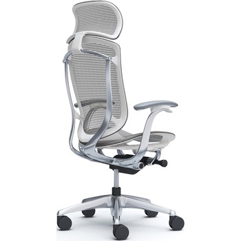 コンテッサセコンダ、固定肘、固定ヘッド、座メッシュ、ハンガー無、ランバー無、ホワイトB、ポリッシュ、脚ポリッシュ、ウレタン オカムラ(岡村製作所)