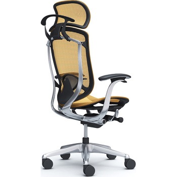 コンテッサセコンダ、固定肘、固定ヘッド、座メッシュ、ハンガー付、ランバー付、ブラックB、ポリッシュ、脚ポリッシュ、ウレタン オカムラ(岡村製作所)