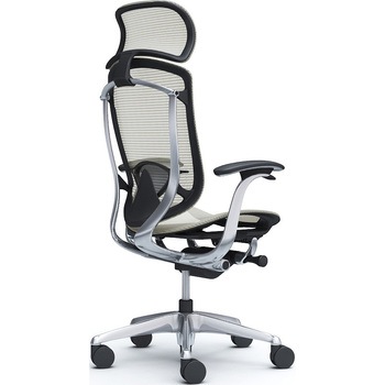 コンテッサセコンダ、固定肘、固定ヘッド、座メッシュ、ハンガー無、ランバー付、ブラックB、ポリッシュ、脚ポリッシュ、ウレタン オカムラ(岡村製作所)