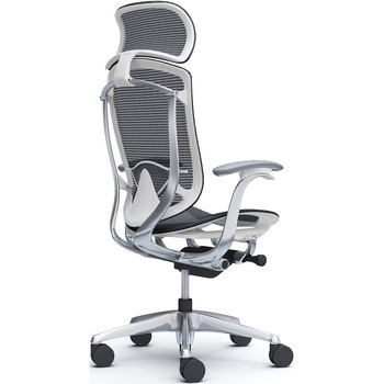 コンテッサセコンダ、固定肘、固定ヘッド、座メッシュ、ハンガー無、ランバー付、ホワイトB、ポリッシュ、脚ポリッシュ、ウレタン オカムラ(岡村製作所)