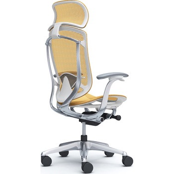 コンテッサセコンダ、固定肘、固定ヘッド、座メッシュ、ハンガー無、ランバー付、ホワイトB、ポリッシュ、脚ポリッシュ、ウレタン オカムラ(岡村製作所)