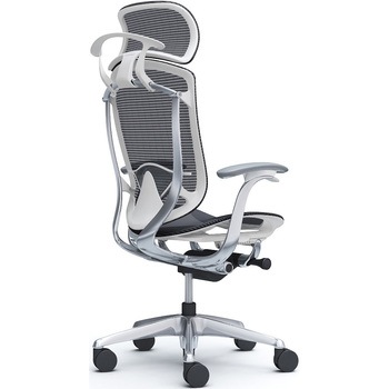 コンテッサセコンダ，固定肘，座メッシュ，大型ヘッド5本脚，ポリッシュ，ホワイト，ランバー付ハンガー付 オカムラ(岡村製作所)