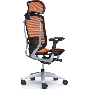 コンテッサセコンダ、可動肘、固定ヘッド、座メッシュ、ハンガー無、ランバー付、ブラックB、シルバー、脚シルバー、ウレタン オカムラ(岡村製作所)