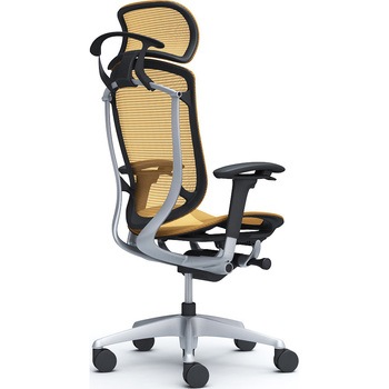コンテッサセコンダ、可動肘、固定ヘッド、座メッシュ、ハンガー付、ランバー無、ブラックB、シルバー、脚シルバー、ウレタン オカムラ(岡村製作所)