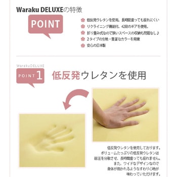 和楽チェア ビッグサイズ セルタン