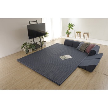 和楽のZONIA セルタン