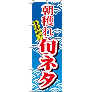 のぼり 朝穫れ旬ネタ - P・O・Pトレーディング