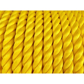 リプロンFロープ 黄 泰興