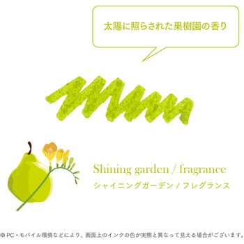 つけペン用ボトルインク dipton フレグランスインク セーラー万年筆