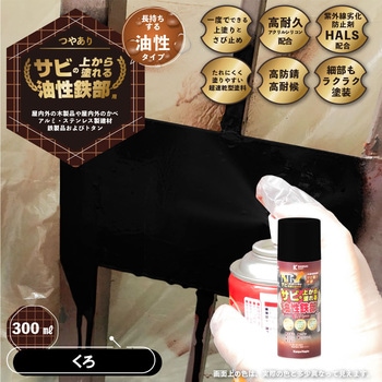 油性鉄部用Sスプレー 油性塗料 (つやあり) サビの上から直接塗れる高性能鉄部用塗料 カンペハピオ