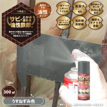 油性鉄部用Sスプレー 油性塗料 (つやあり) サビの上から直接塗れる高性能鉄部用塗料 カンペハピオ