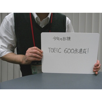 紙製 薄型ホワイトボード 欧文印刷