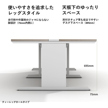 LASH(ラッシュ) デスク ティーレッグホール スマイル