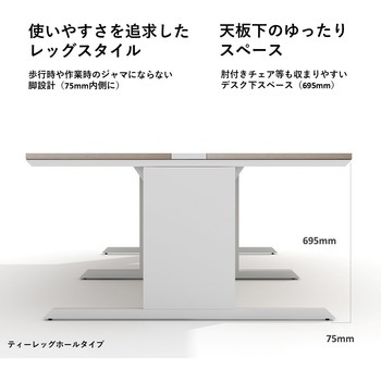 LASH(ラッシュ) デスク ティーレッグホール スマイル