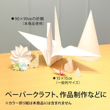 ジャンボ画用紙 (ロールタイプ) 10m巻90cm幅 日本ノート