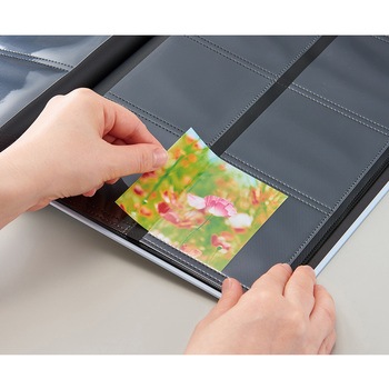 アルバックス ましかくアルバム セキセイ