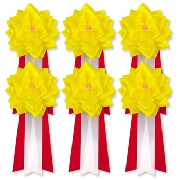 リボン記章 胸章 徽章 大リボンバラ タレ付き 6個セット YONEOKA RIBBON
