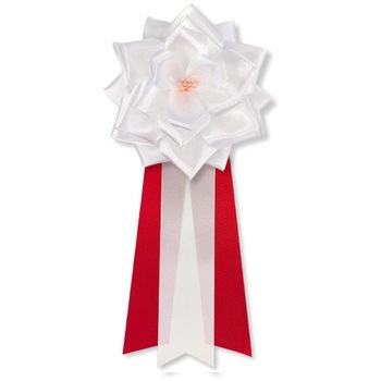 リボン記章 胸章 徽章 大リボンバラ タレ付き 6個セット YONEOKA RIBBON