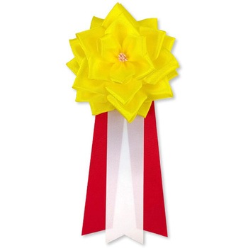 リボン記章 胸章 徽章 大リボンバラ タレ付き 6個セット YONEOKA RIBBON