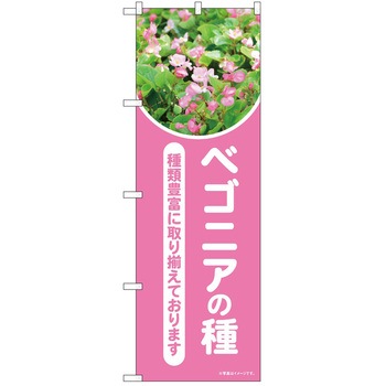 のぼり 植物 - P・O・Pトレーディング