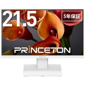 VESA専用モニター　Princeton　フルHD　24インチ