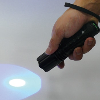 ブラックライト ワイドタイプ Hydrangea