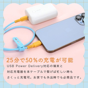 バイカラーケーブル USB-C to USB-C 60W しなやか 絡まない 急速充電 PD60W データ転送 ケーブルバンド付属 1m MOTTERU