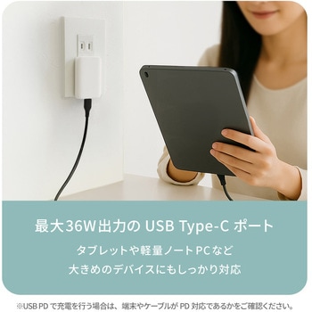 薄さ13mm 最大PD36W出力 GaN採用 USB Type-C×1 AC充電器 OWLTECH(オウルテック)