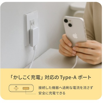 薄さ13mm 最大PD20W出力 GaN採用 A1C1 AC充電器 OWLTECH(オウルテック)