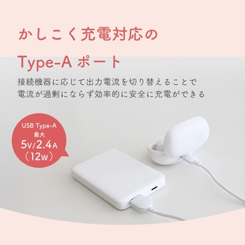 5，000mAhモバイルバッテリー A×1/C×1 OWLTECH(オウルテック)