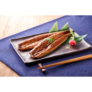 九州産うなぎ蒲焼2尾セット 鰻楽