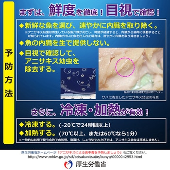 アニサキスチェックライト OMNI