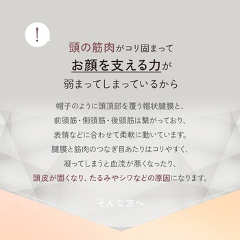 EMS&RF リフトブラシボーテ OMNI