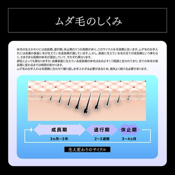 クールフラッシュボーテ OMNI
