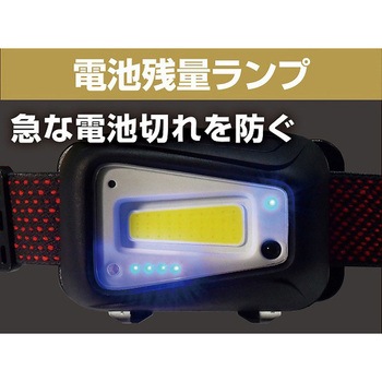 LEDヘッドライト ELPA