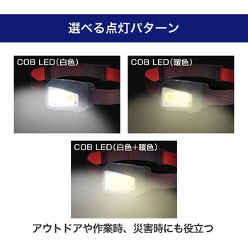 LEDヘッドライト ELPA