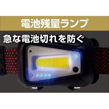 LEDヘッドライト ELPA