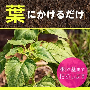 アースガーデン アース草消滅 アース製薬
