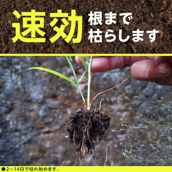 アースガーデン アース草消滅 アース製薬