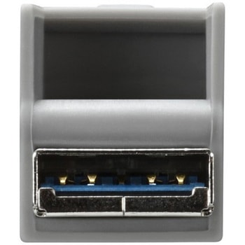 USB3.2(Gen1) Type-C - A対応USBメモリ 32GB グレー BUFFALO(バッファロー)
