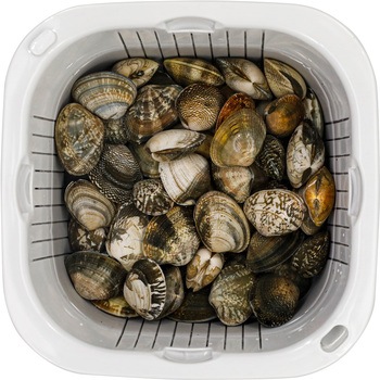 下ごしらえに便利な抗菌ザルバットセットL - シービージャパン