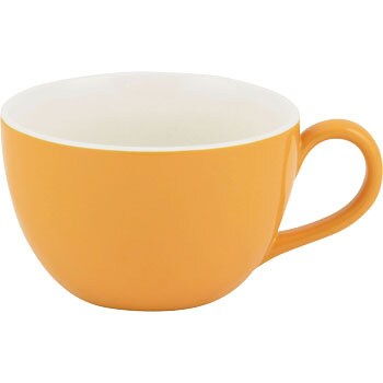 K-6187 MUG'S カレー皿&スープカップ 1セット パール金属 【通販サイト