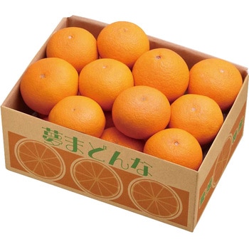 愛媛県産 夢まどんな ノーブランド