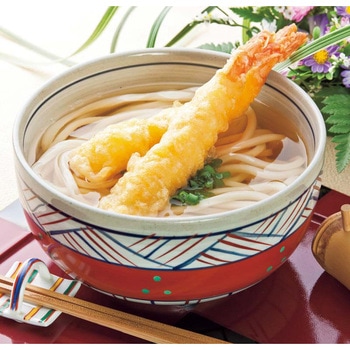 明治神宮御奉献品 さぬきうどん(麺一筋) ノーブランド